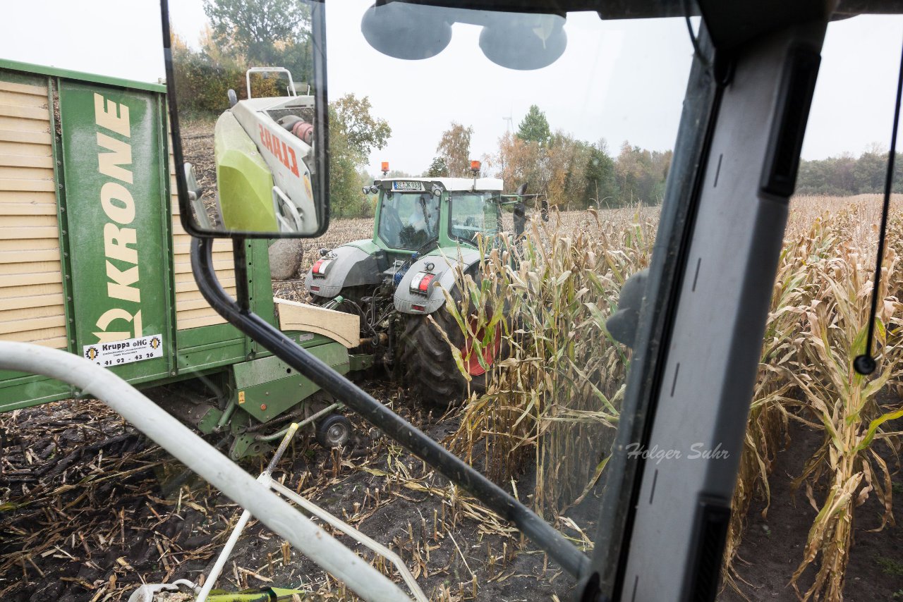 Bild 50 - Maisernte am 22.10.12